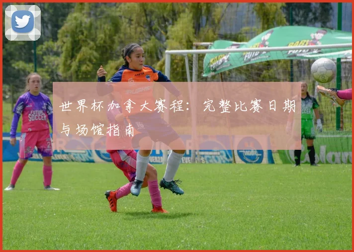 世界杯加拿大赛程:完整比赛日期与场馆指南